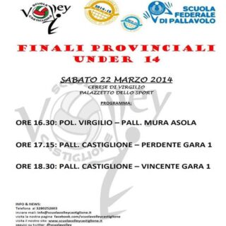 Finale provinciale Under 14