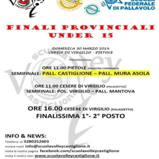 Finale 2014 Under 15